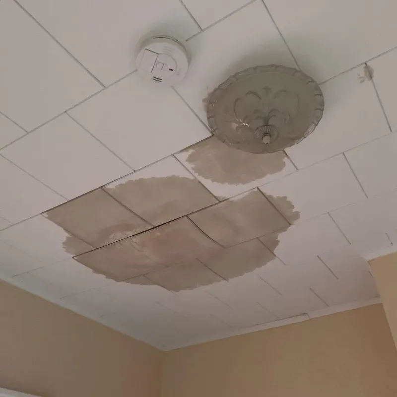 Ceiling Water Damage Repair in Palermo, ME
