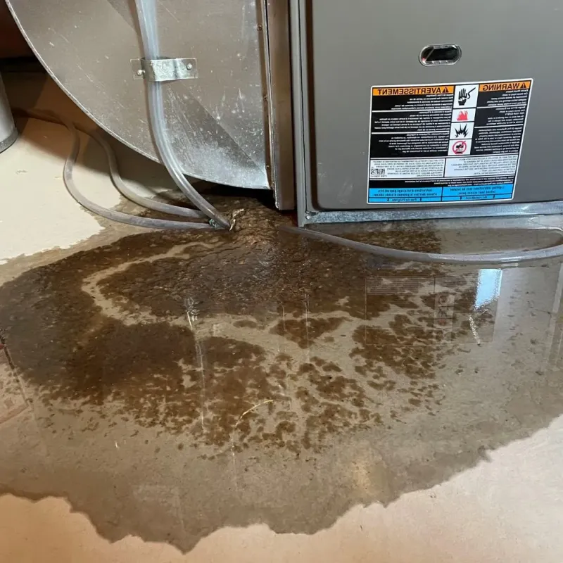 Pipe Burst and Leak Restoration in Palermo, ME