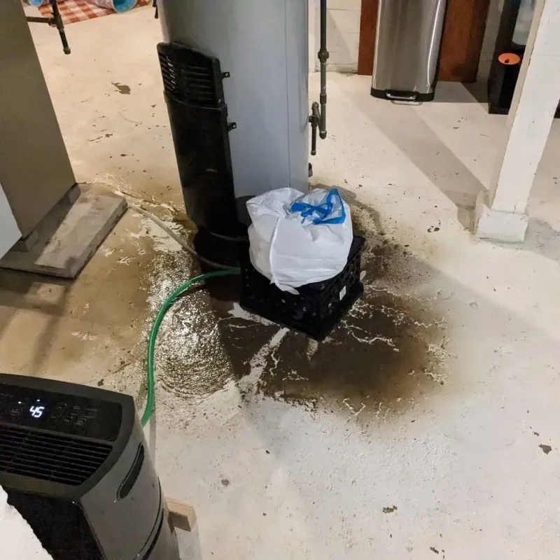Sewage Backup Cleanup Service in Palermo, ME